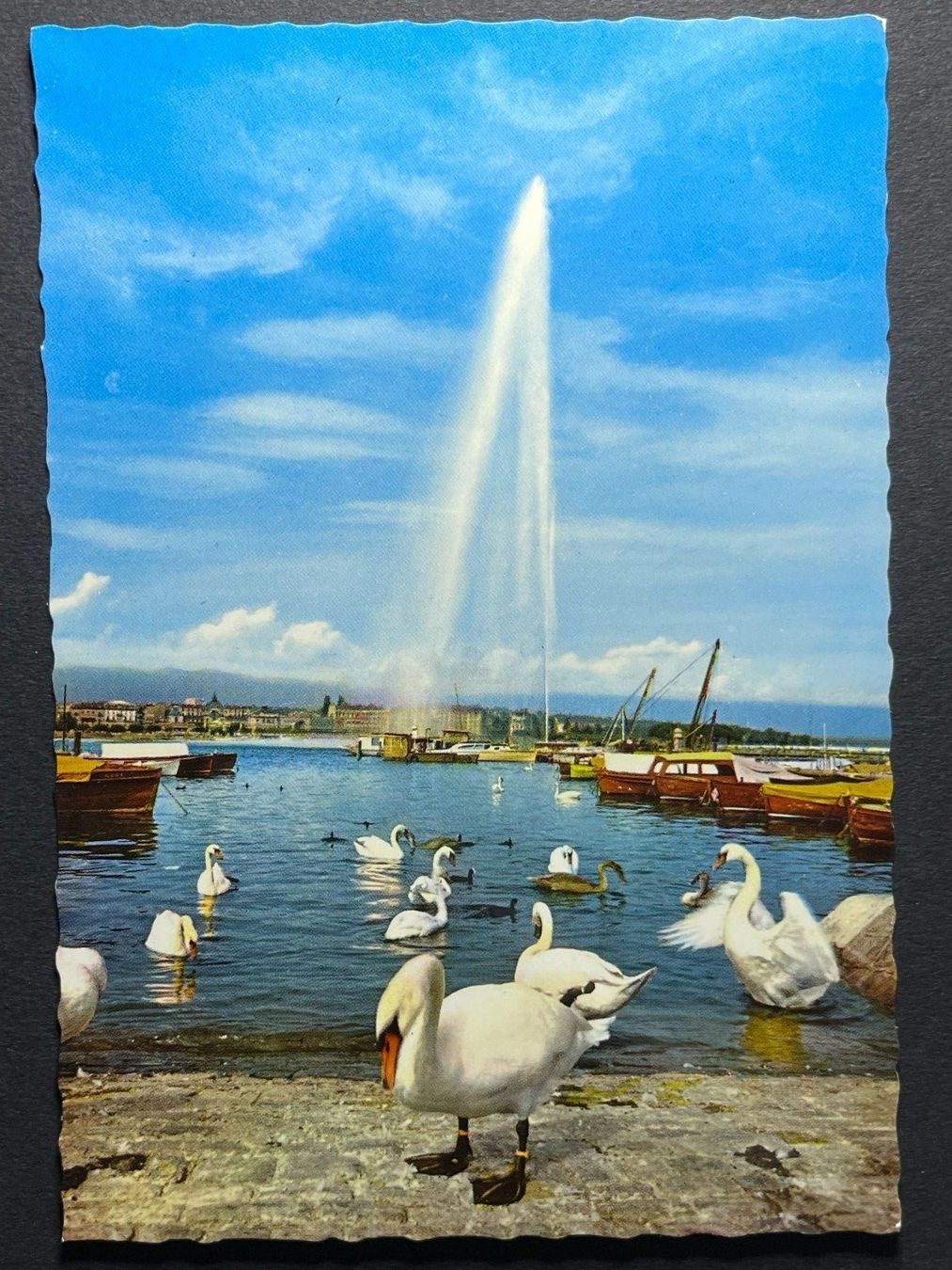 Cartoline postali: Genf - Wasserstrahl und die Schwäne – Usato da Steg VS venduto da _vinci_