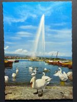 Genf - Wasserstrahl und die Schwäne