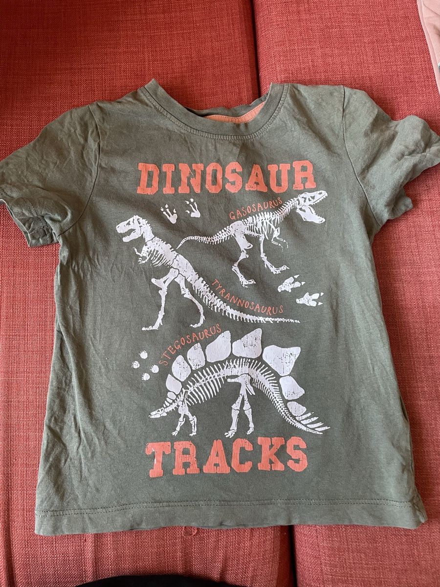 H&M Hemden, T-Shirts & Polos: Dino Fan – Gebraucht aus Herisau von Ciaoschein