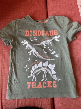 Dino Fan