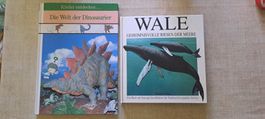 Wale und dinosaurier buch