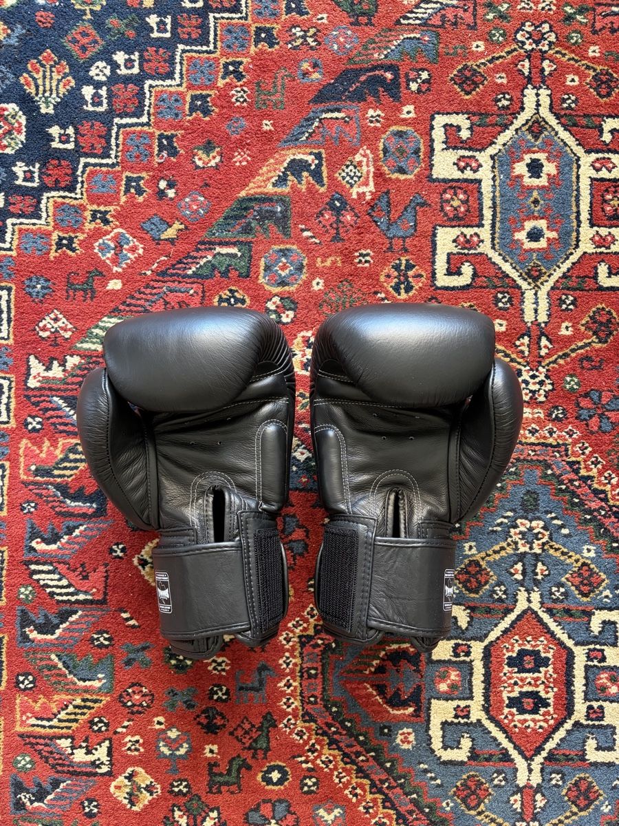 Handschuhe & Handstulpen: TWINS Boxhandschuhe BGVL3 16oz – Neu (gemäss Beschreibung) aus Zürich von sej_bgx9 1