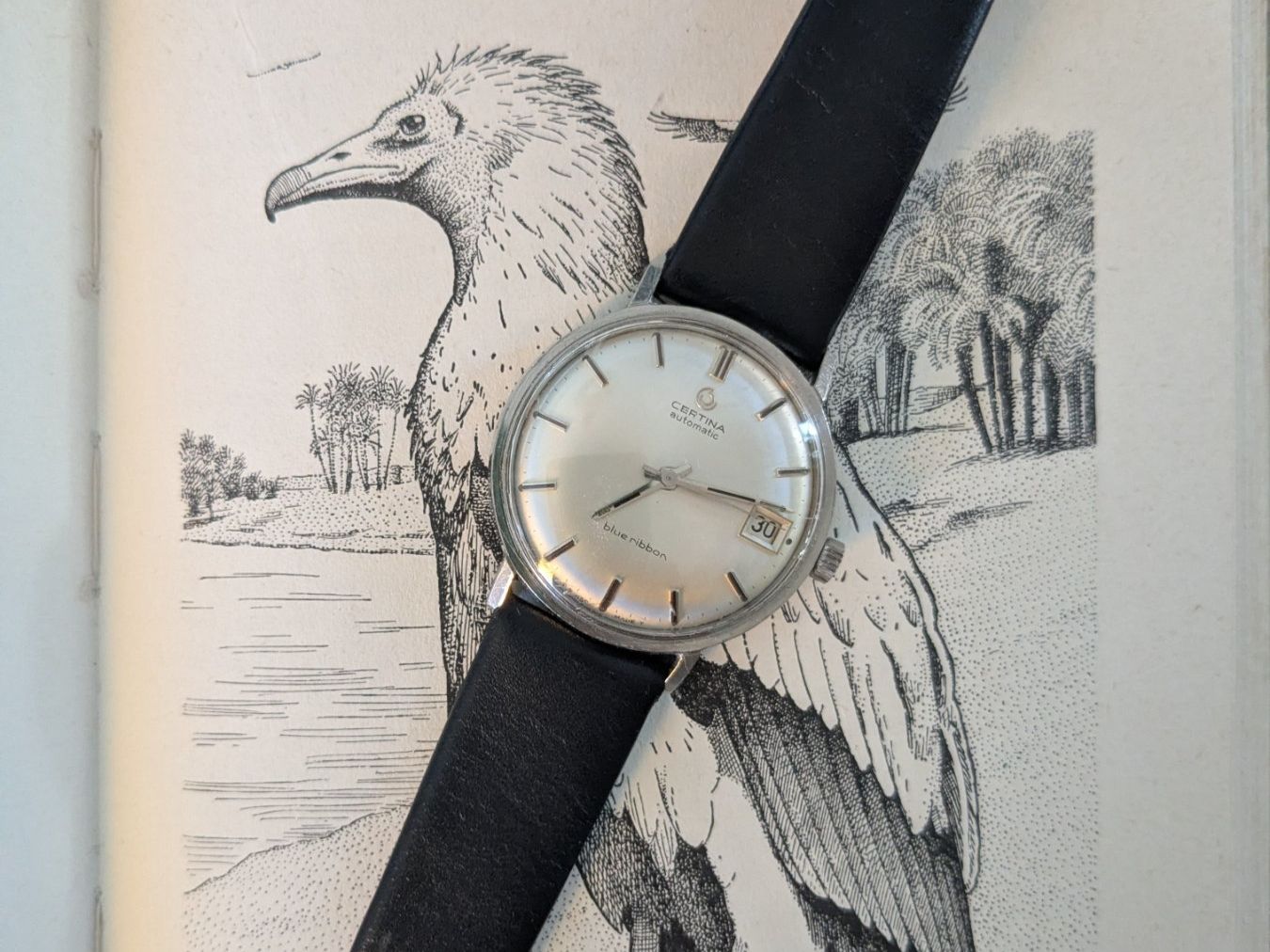 Certina Montres: Beautiful Certina Blue Ribbon - Automatic Vintage Watch – D'occasion à La Tour-de-Peilz par bird.watches 2