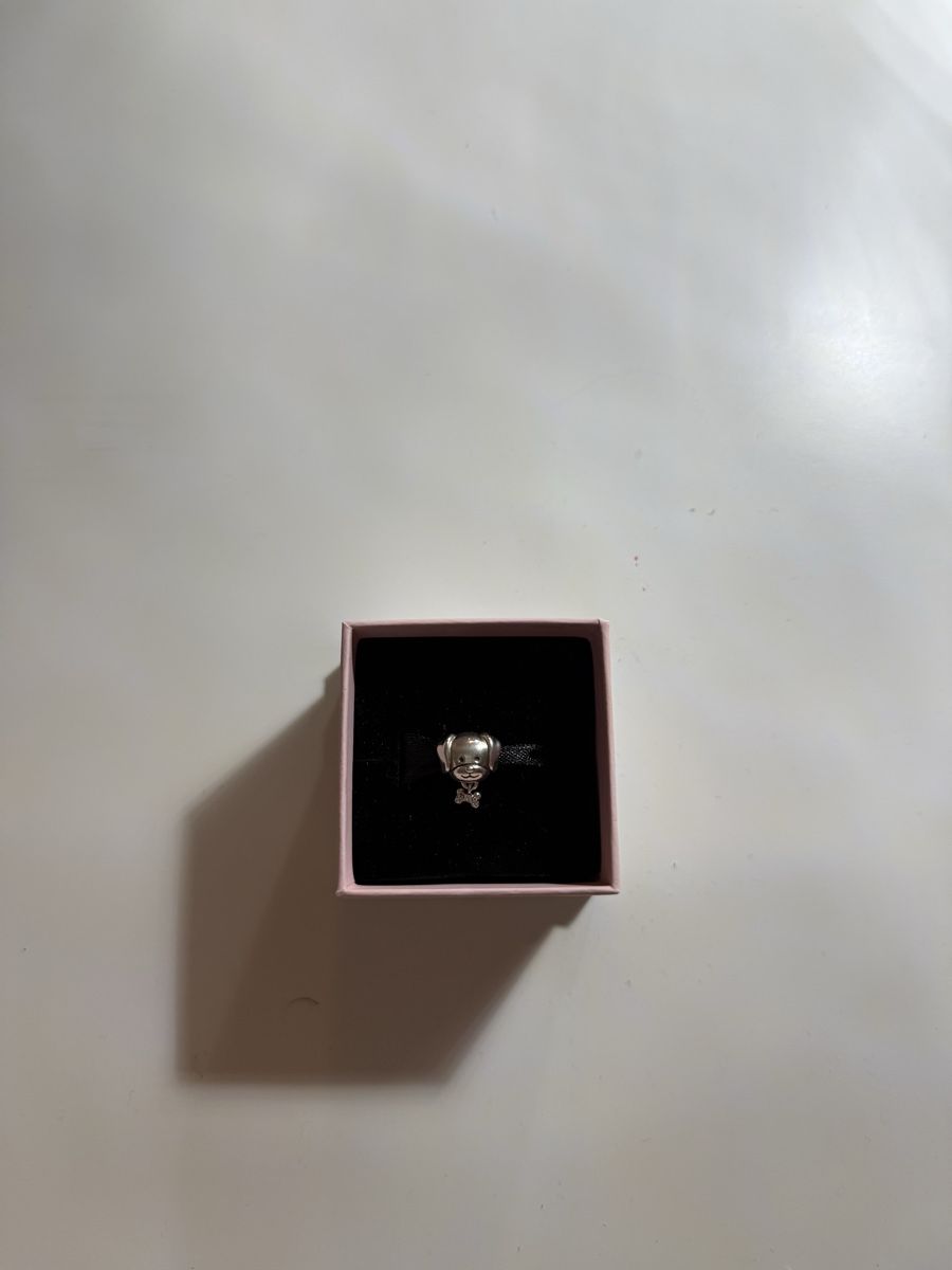 Pandora Ciondoli: Pandora Hund Charm – Usato da Herisau venduto da deb_5qfc