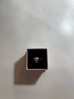 Pandora Hund Charm