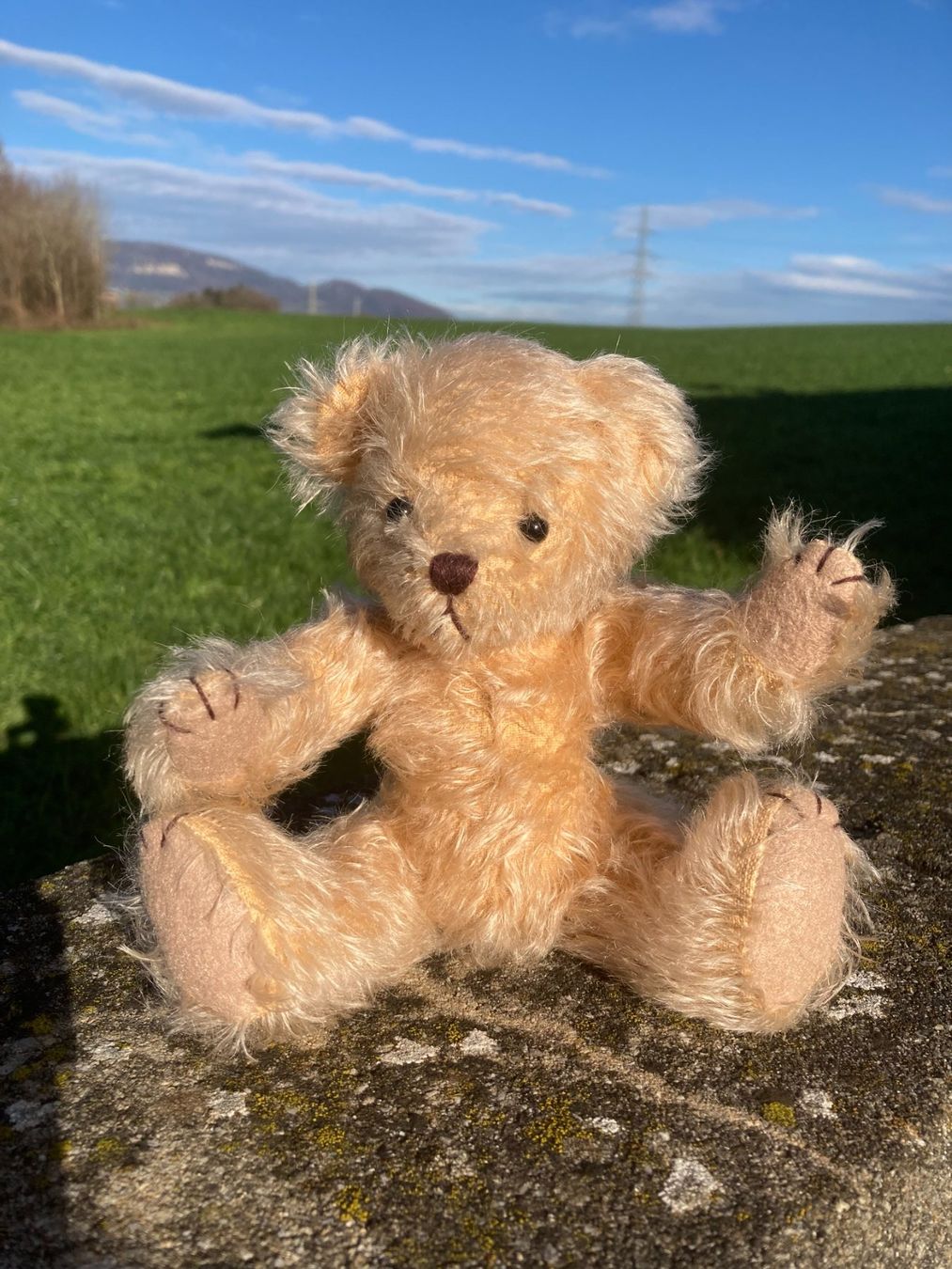 Giocattoli: Teddy Teddybär mit handgestricktem Pullover+Jupe handgenäht – Usato da Subingen venduto da Etageren 3