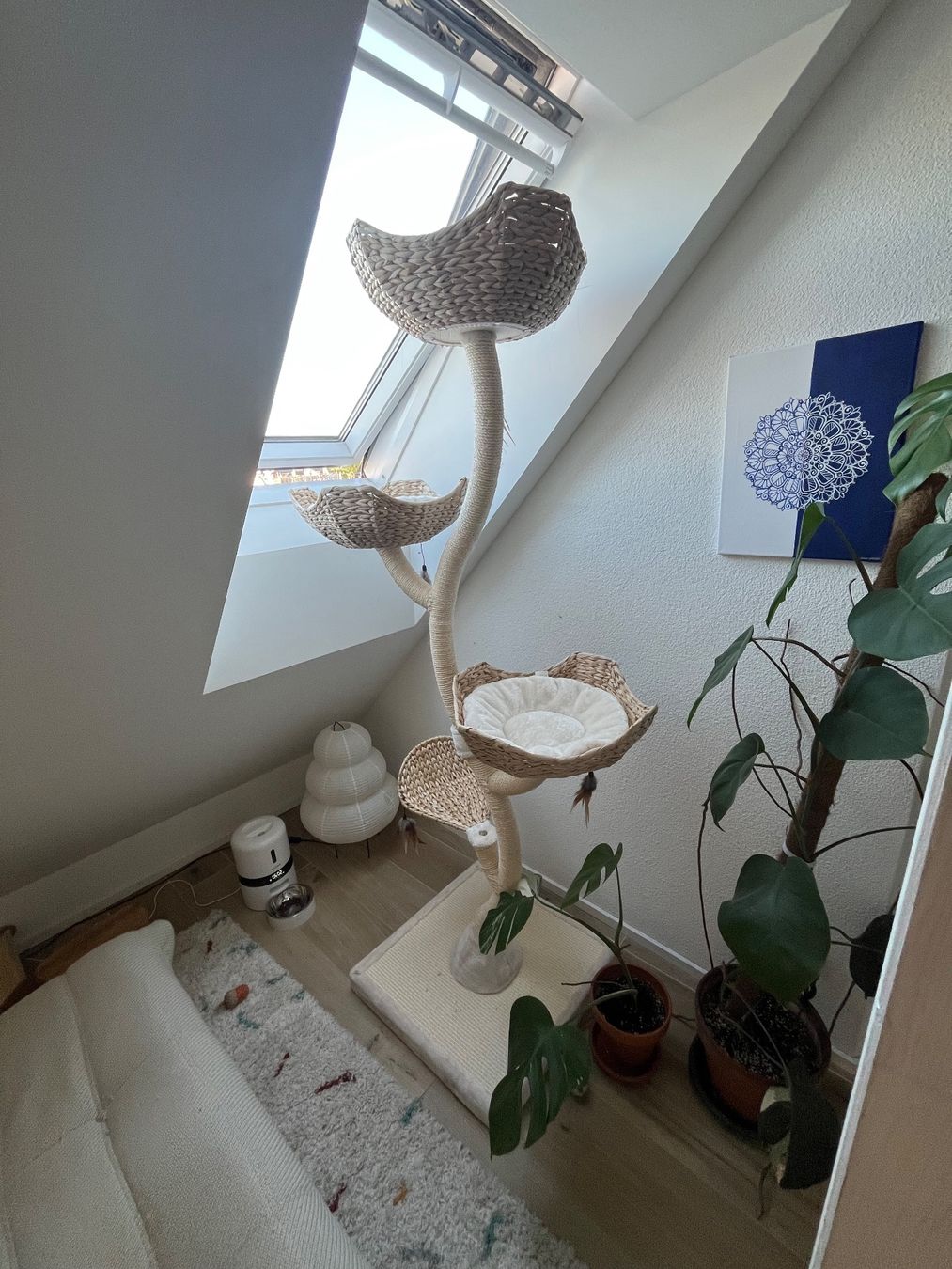 Tiragraffi: Kratzbaum Cat´s Flower XXL – Usato da Zürich venduto da latte_artist