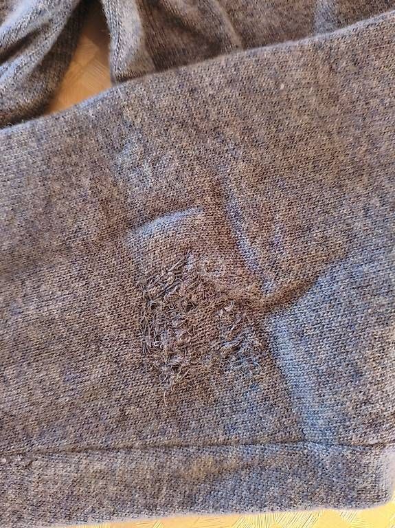 Maglioni & Felpe: Pullover Lacoste – Usato da Bern venduto da Smash428 4
