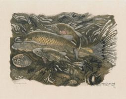 Robert Hainard Poissons 1945 no 19/45