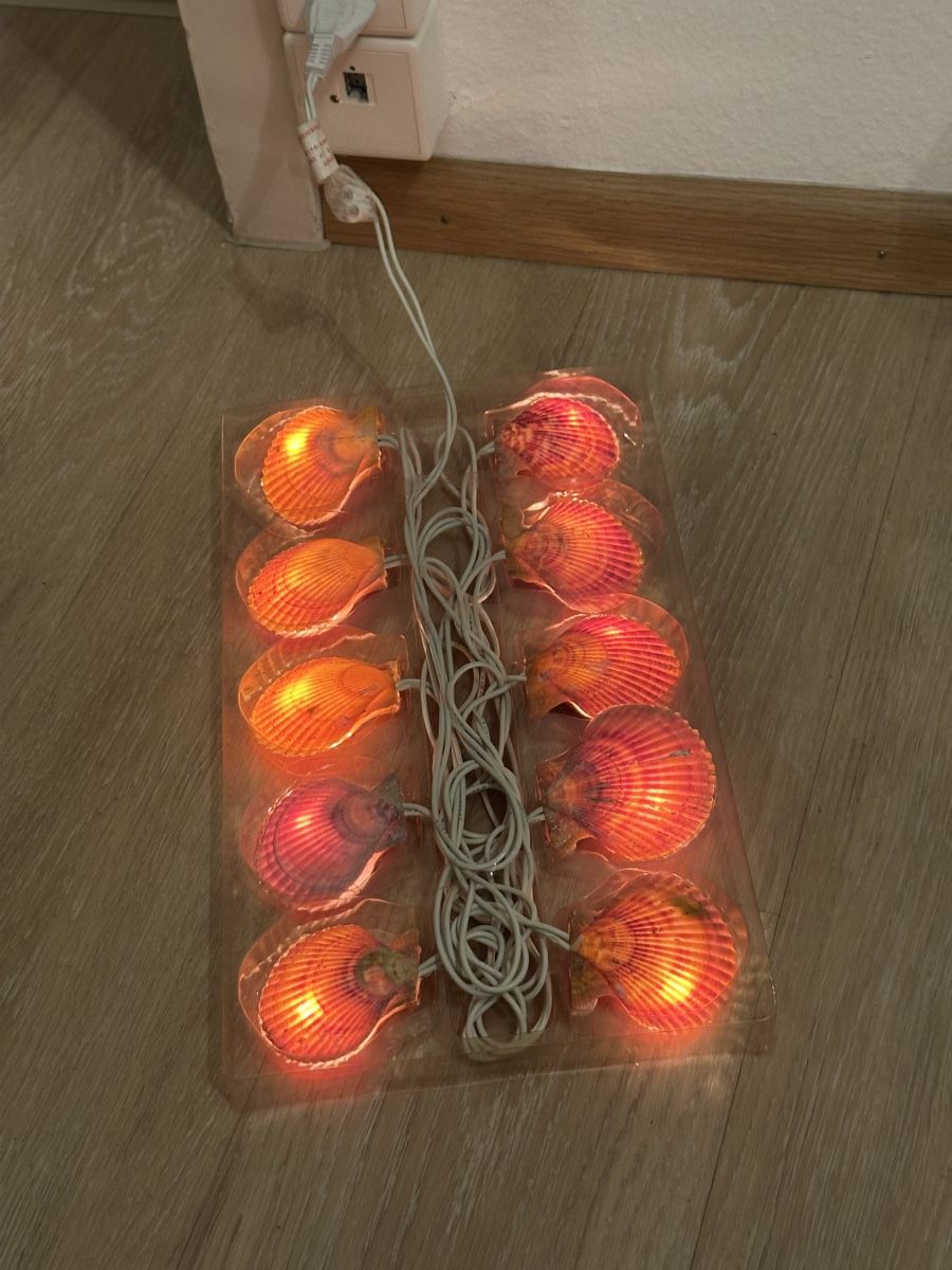 Ghirlande e barre luminose: Lichterkette mit Grosse Muscheln Neu – Nuovo e nell'imballaggio originale da Basel venduto da Ivana_4 2