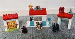 Duplo Manège Équestre Chevaux