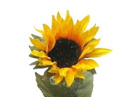 Sonnenblume (Seidenblume)🌻🌻🌻