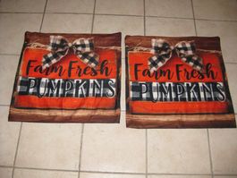 Herbst/Kürbis 2 Kissenhüllen 60cmx60cm wie neu