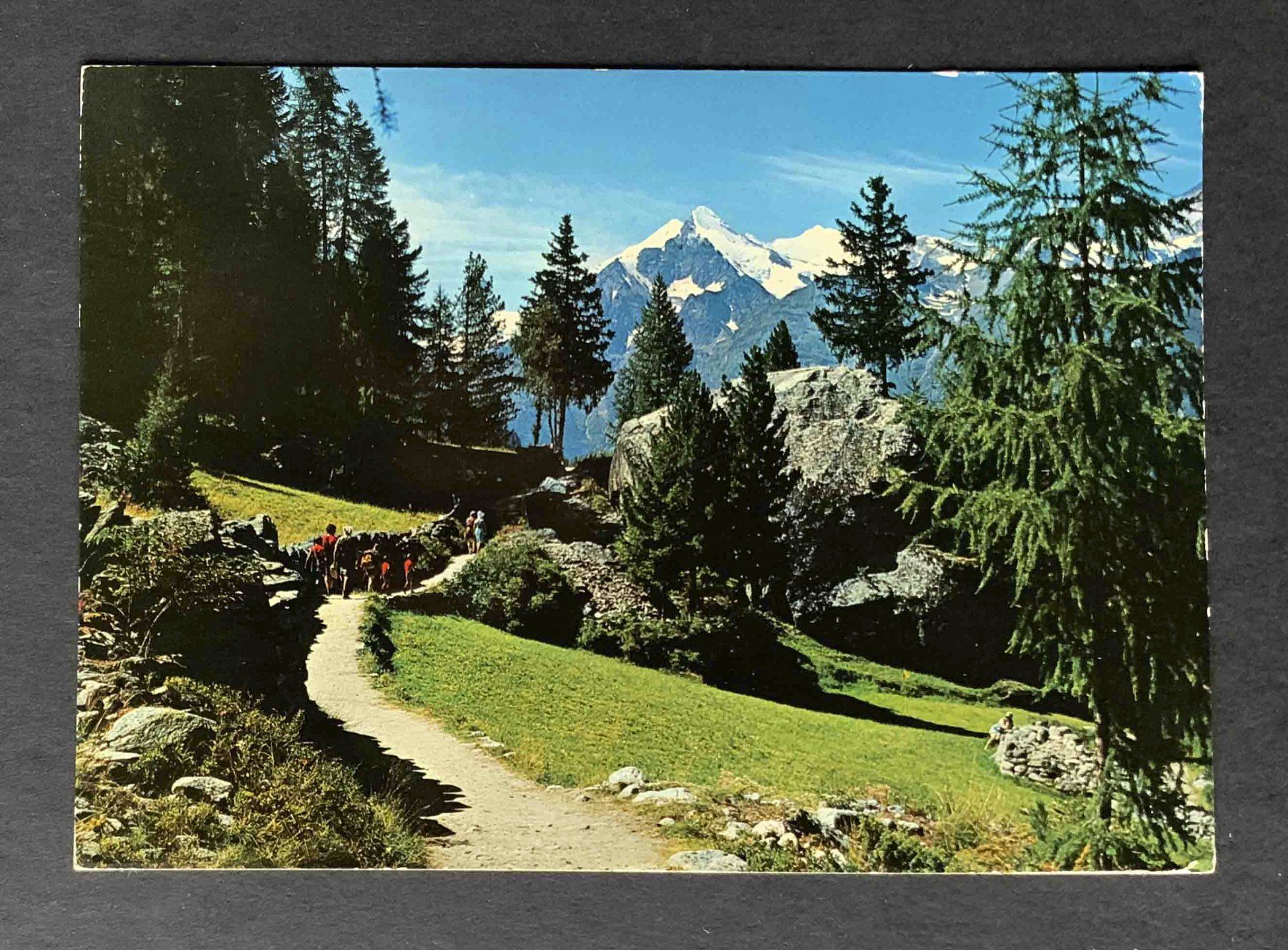 Ansichtskarten: AK Spazierweg bei Grächen – Gebraucht aus Goldau von artelier1