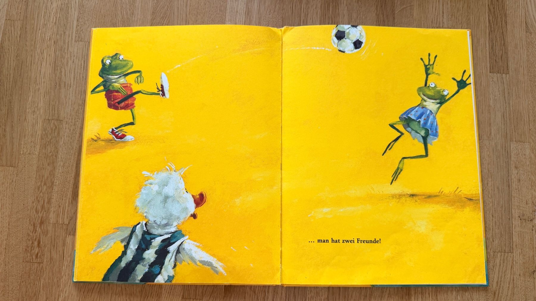 Libri: Buch - Dudu findet einen Freund – Usato da Winterthur venduto da Secondhand-Family 7