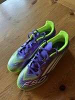 F50 Tausendfüssler