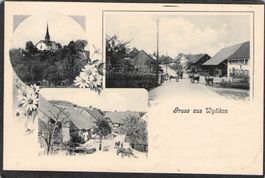 #Gruss aus Witikon ZH , Lichtdruck , gel. 1908