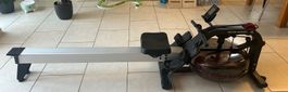 Cardiostrong Baltic Rower Wasser-Rudergerät mit Bluetooth