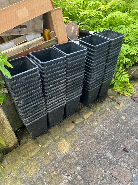 Quadratische Pflanztöpfe, 15 x 15 x 20 cm, 3,4 Liter Kaufen auf Ricardo