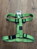 Hundegeschirr Rogz Lumberjack lime Grösse XL neu