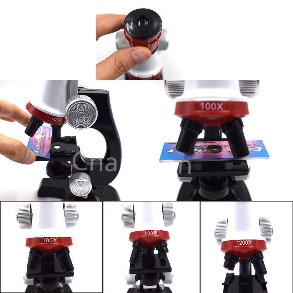 Microscopi: Kit de Microscope à LED de laboratoire LED-Labor-Mikroskop-S – Nuovo e nell'imballaggio originale da Delemont venduto da Superchoice 5