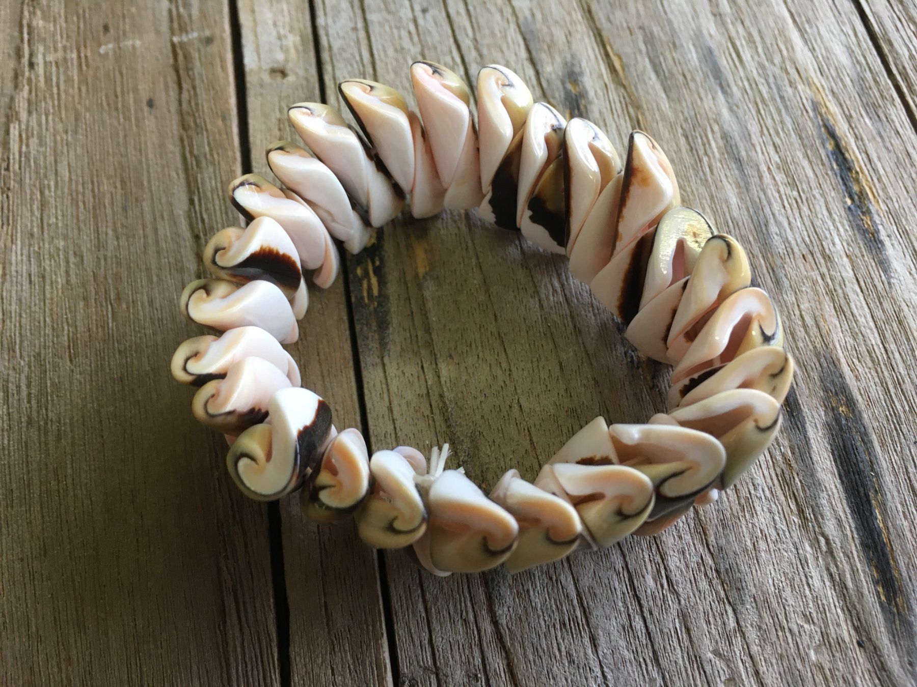 Bracciali & Braccialetti: MUSCHEL  ARMBAND  AB 14cm – Nuovo e nell'imballaggio originale da Aesch ZH venduto da LiquidAktion 1