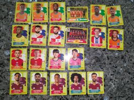 🔥 22 verschiedene Panini Sticker