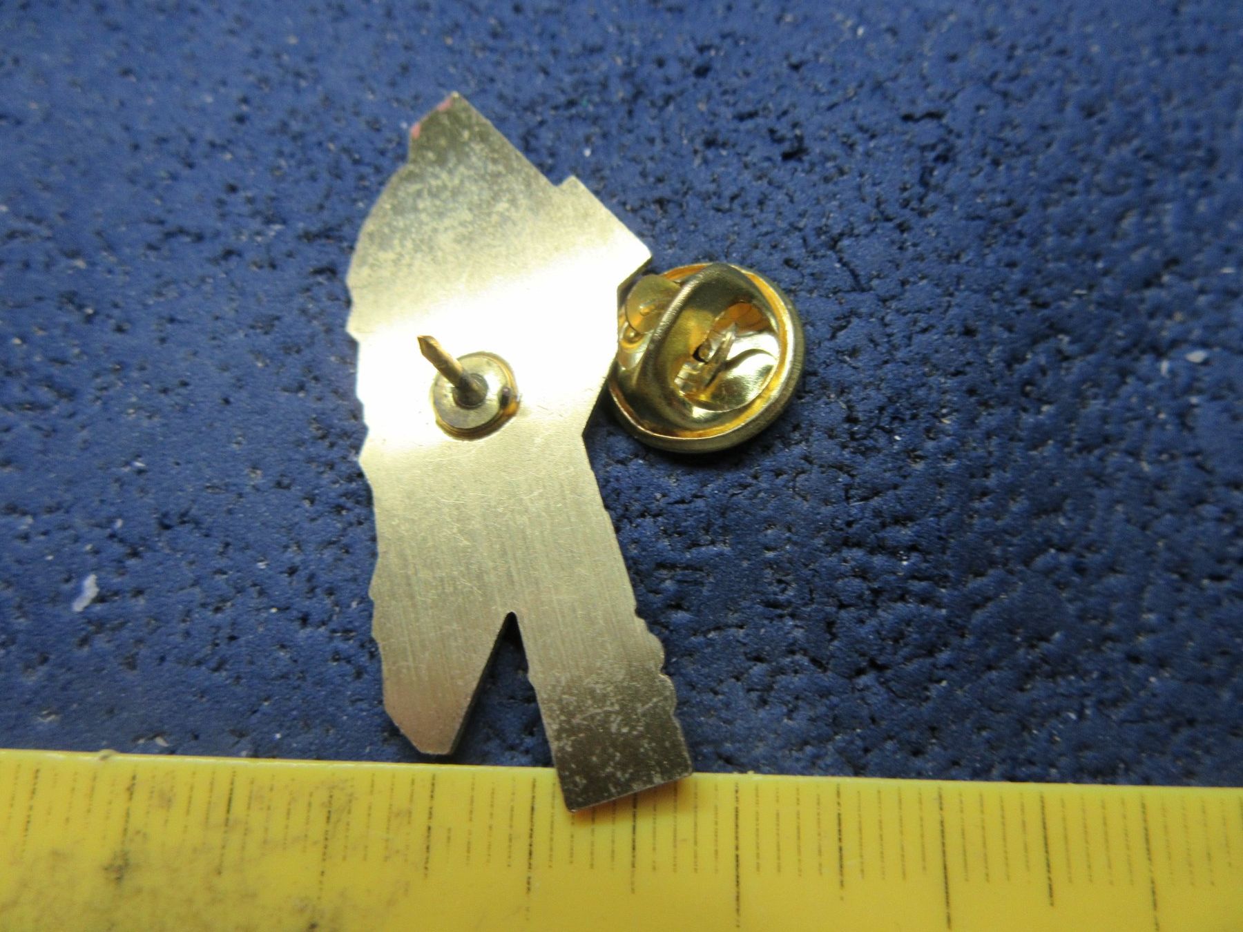 Swiss Placchette & Badge: BAHN SCHWEIZ PIN RhB SSG GLASIERT – Usato da Ettingen venduto da Hausi4711 1