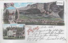 Gruss aus Flims - Waldhaus, Hotel Secnes, Total - Litho 1901