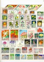 schöne Motiv Sammlung_Natur_Blumen_Früchte