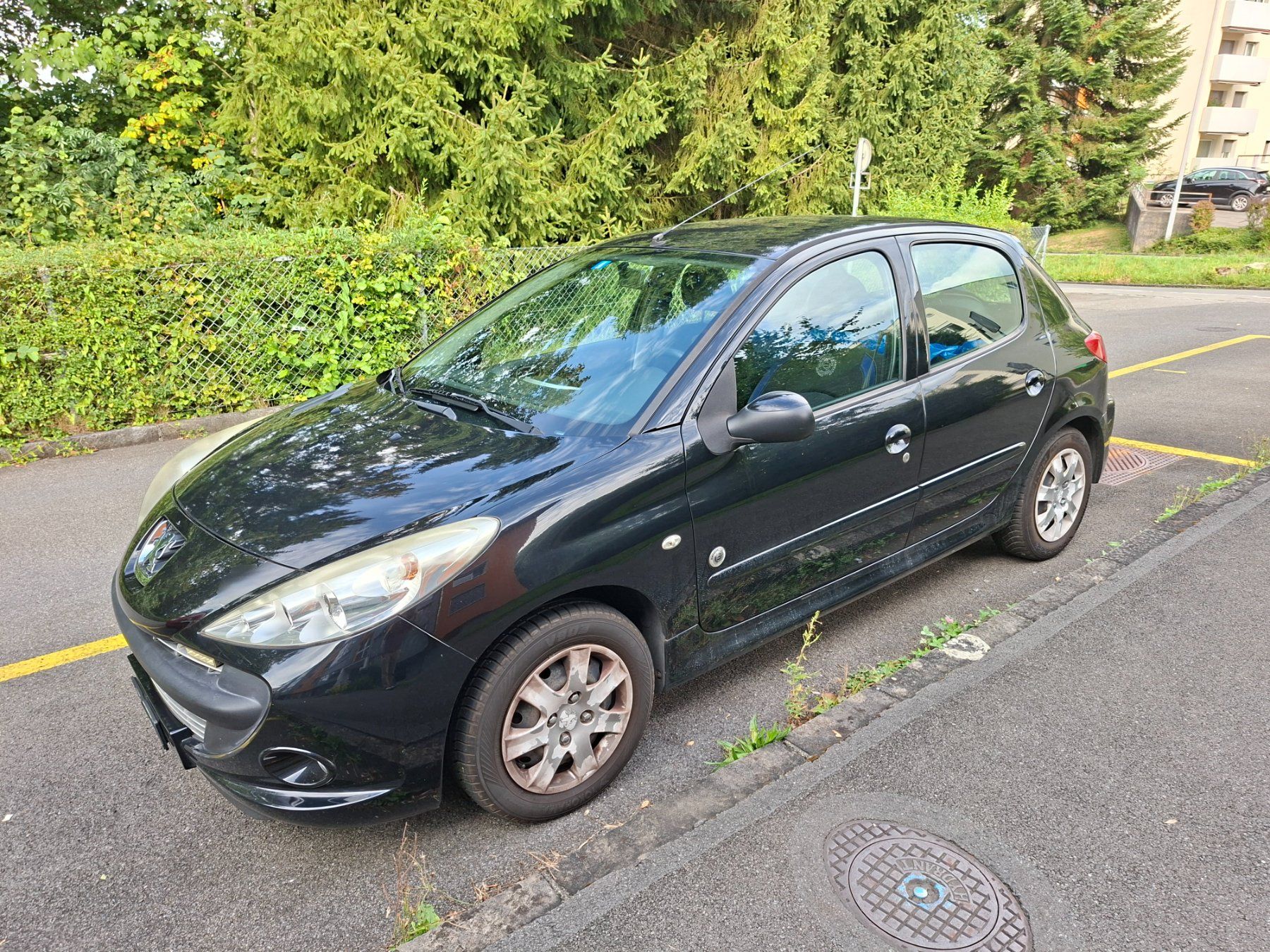 Peugeot Autos: Peugeot 206 Plus – Defekt aus Luzern von Remo666