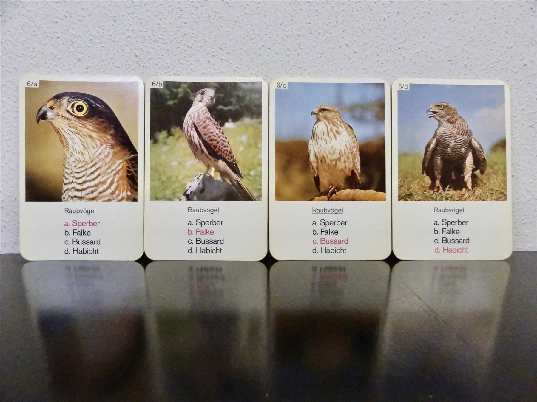 Spiele: altes Quartett TIER-QUARTETT VÖGEL – Gebraucht aus Kerzers von wisaundso 7