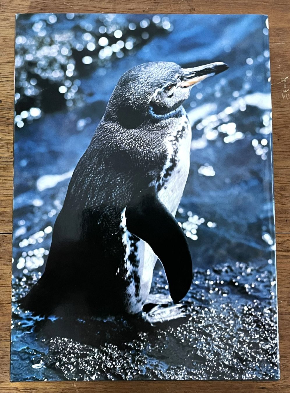 Libri: Silva Verlag, Zoo Galapagos, 1973 – Usato da Oftringen venduto da Vucki