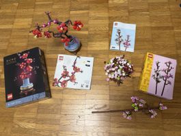 LEGO Bonsai 10281 Plum Blossom und 40725 Cherry Blossoms