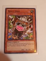 Yugioh Noisy Gnat Card first Edition TCG