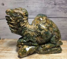Regenwaldjaspis Dromedar 1.7kg