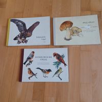Lehrbücher, Pilz Atlas ,Einheimische Vögel, Antik