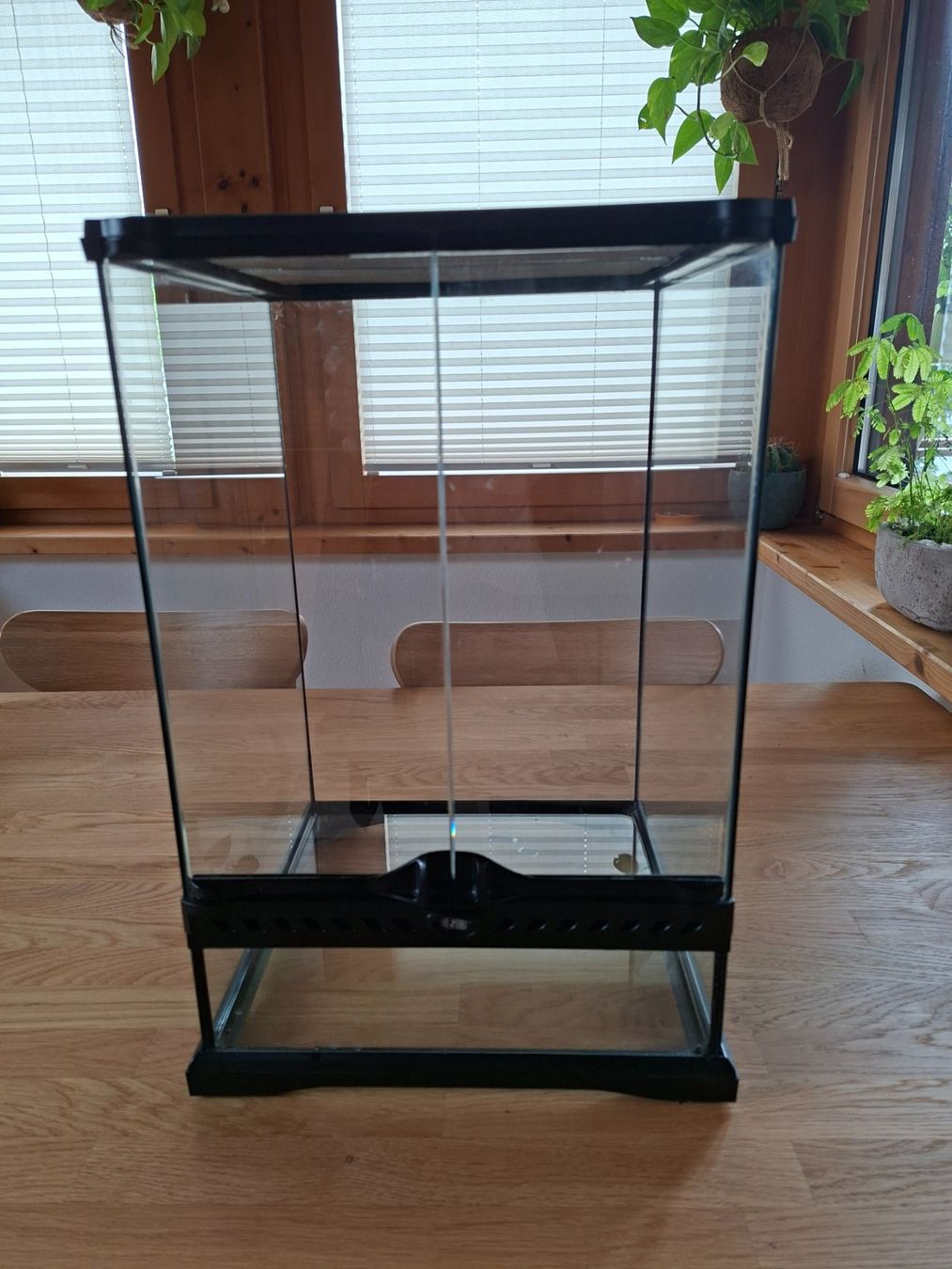 Exo terra Terrarium: Exo Terra Glaserrarium – Gebraucht aus Biel-Benken BL von Schnauztiger