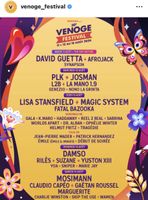 David Guetta - 1 Billet Venoge Festival, 13 août 2026
