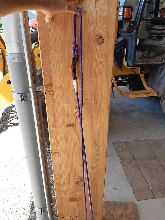 Tiro con l'arco: Parelli Carrot Stick – Nuovo (secondo la descrizione) da Nebikon venduto da Haidihooo 1