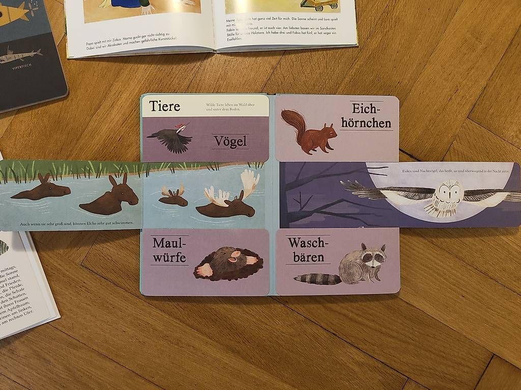 Libri: Kinderbücher – Usato da Zürich venduto da jeu_szl9 2