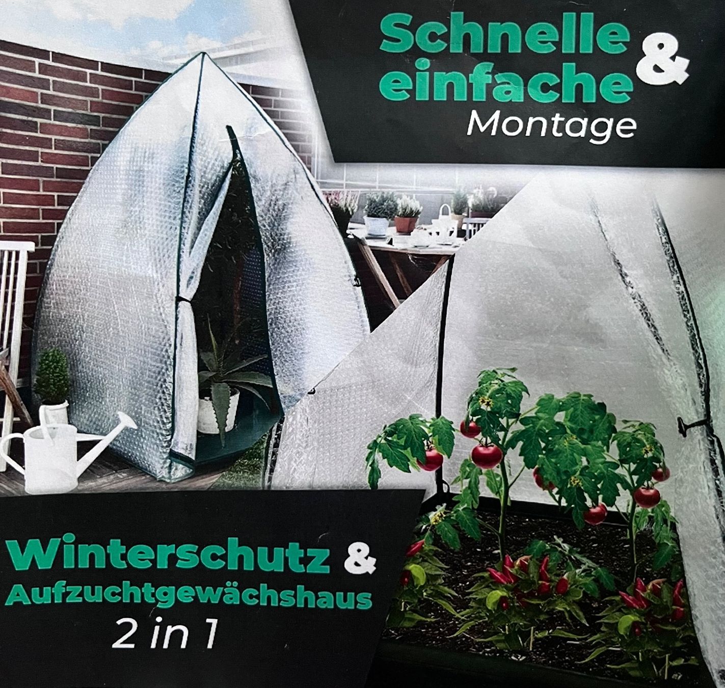 Casette da giardino & serre: Winter-/Aufzuchtsgewächshaus – Usato da Auslikon venduto da Shelfi 1