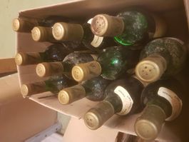 6 Vintage Rotwein Flaschen 1979 Carmel Mizrahi Israel