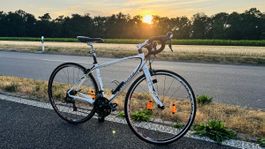 Specialized Ruby S Rennrad Full Carbon