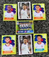 Panini Stickers