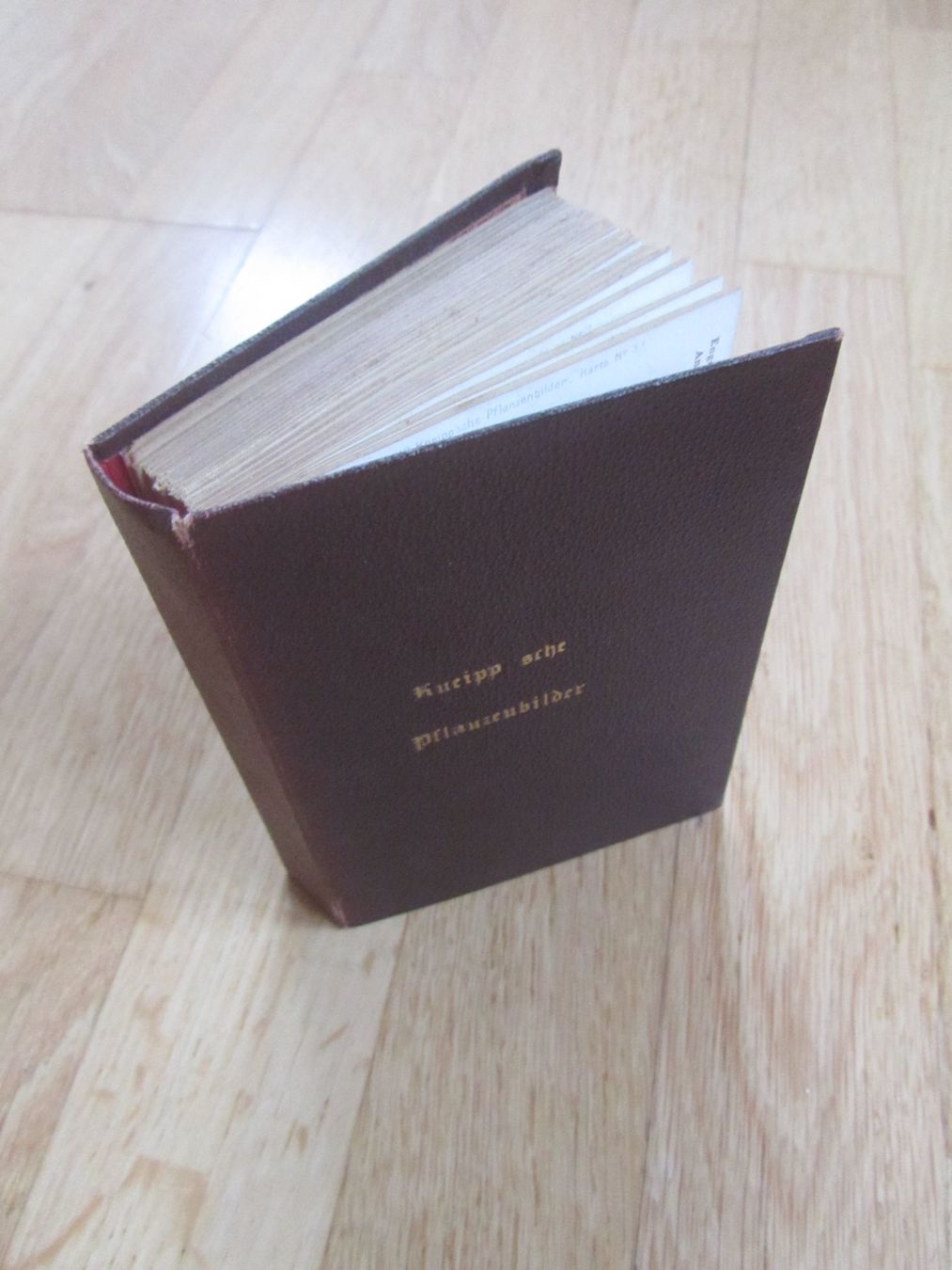 Libri: Kneipp sche Pflanzenbilder – Usato da Seengen venduto da mikelele 7