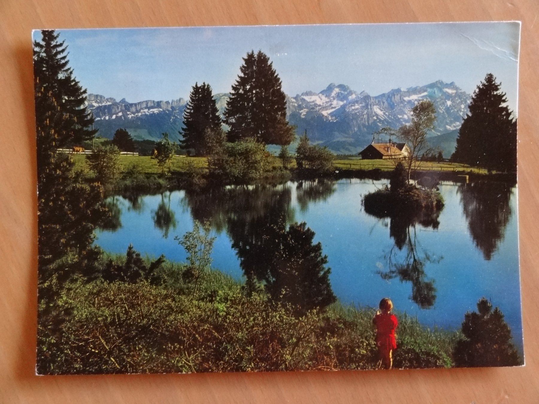 Ansichtskarten: auf dem Gäbris ob Gais - 1991 – Gebraucht aus St Léonard von Riglin