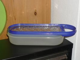 TUPPERWARE REIBEISEN SIEHE FOTO