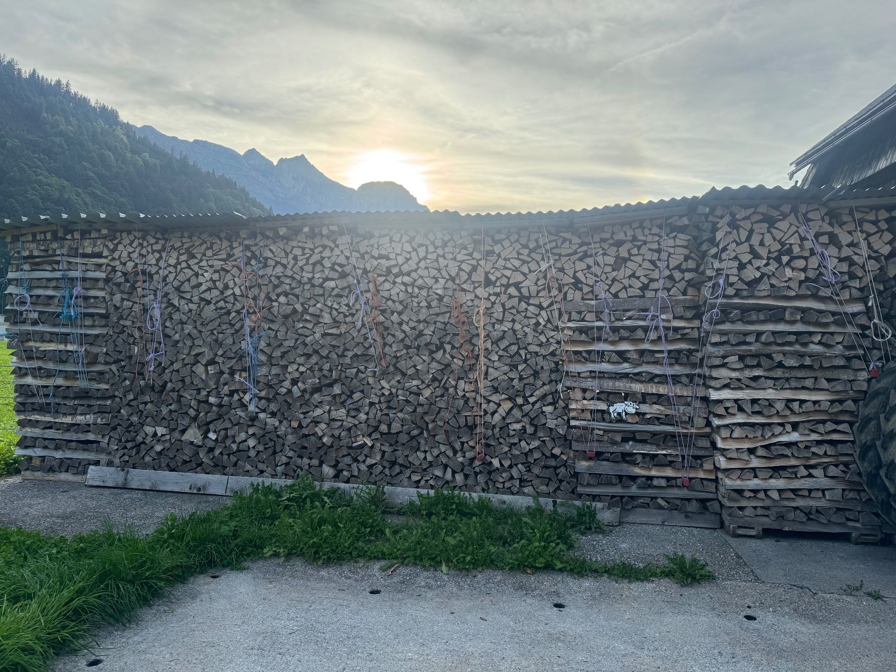 Articles en bois: Brennholz Buche – D'occasion à Engelberg par Marcel_1987 1