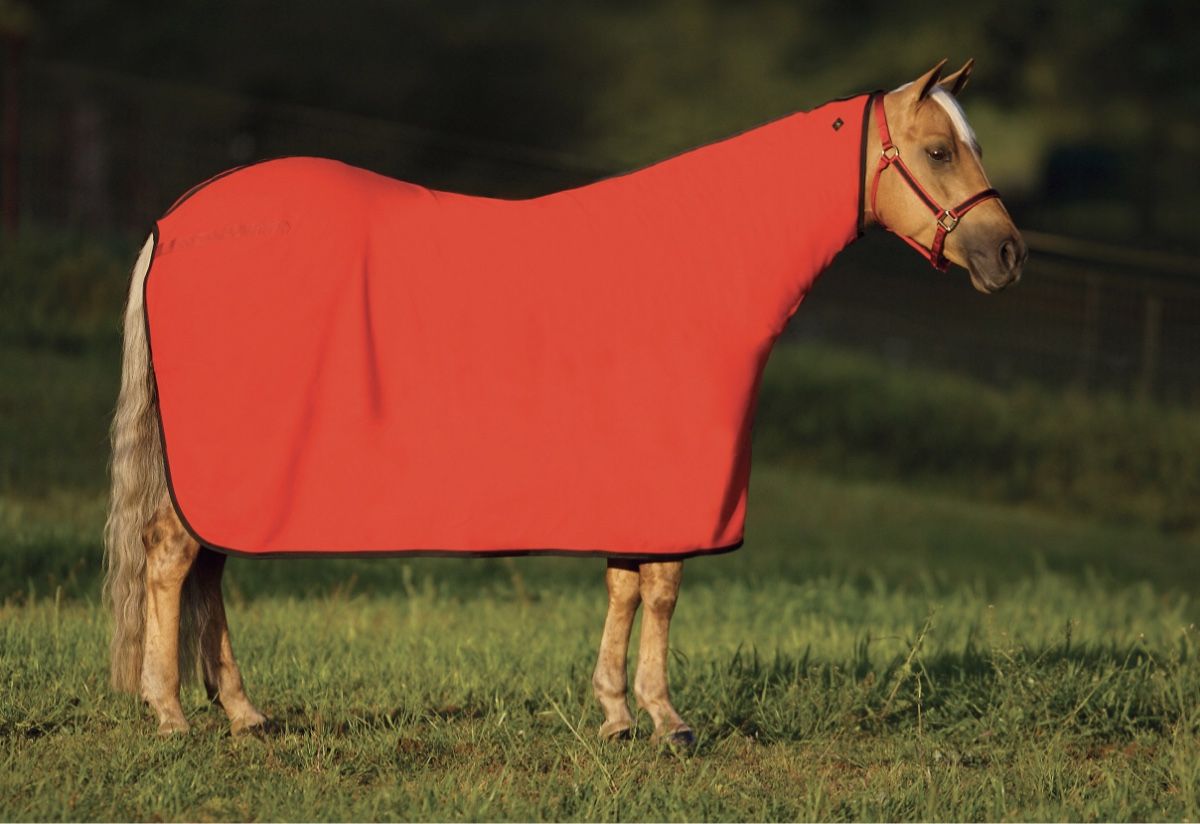 Coperte: Abschwitzdecke Big D – Nuovo e nell'imballaggio originale da Schlossrued venduto da River-Tack-1
